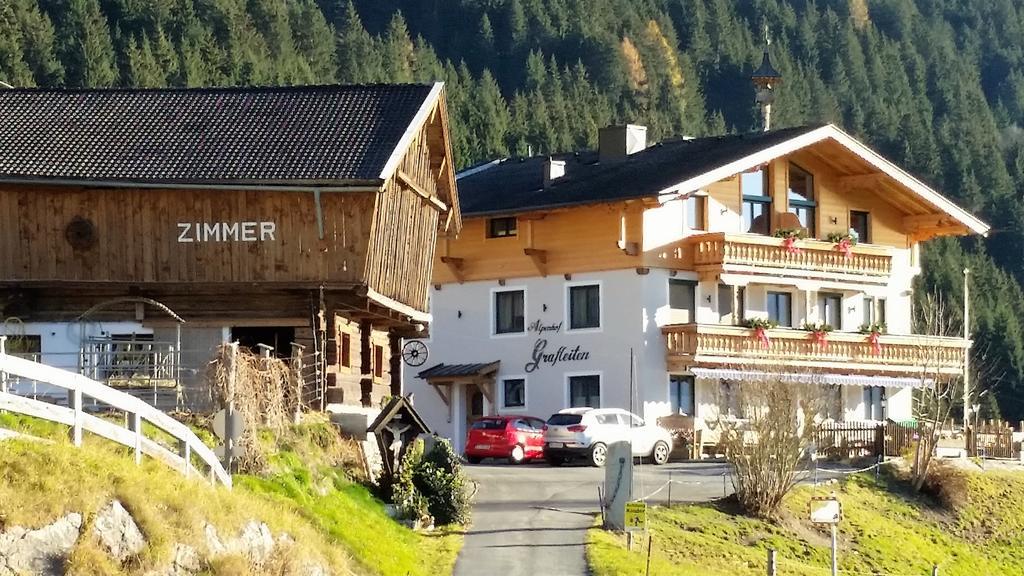 Alpenhof Grafleiten 2* Zell am See